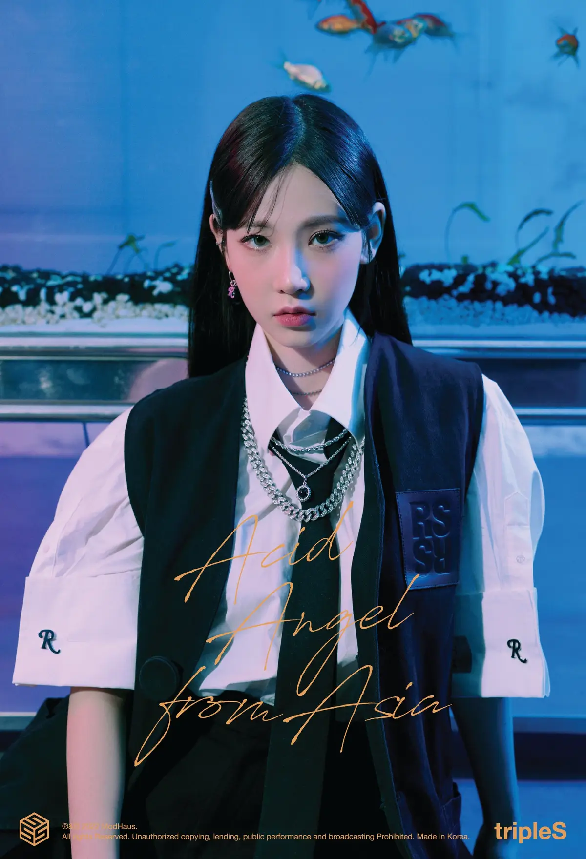 Acid Angel from Asia (AAA) former member Kim Nakyoung