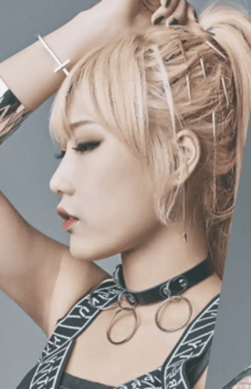 D.el Members Profile D.el former member Mini