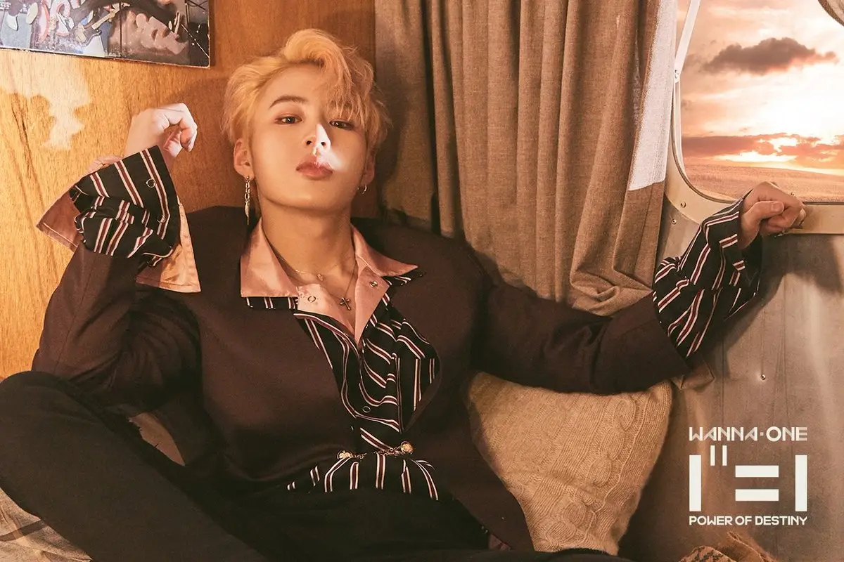 Wanna One former member Sungwoon